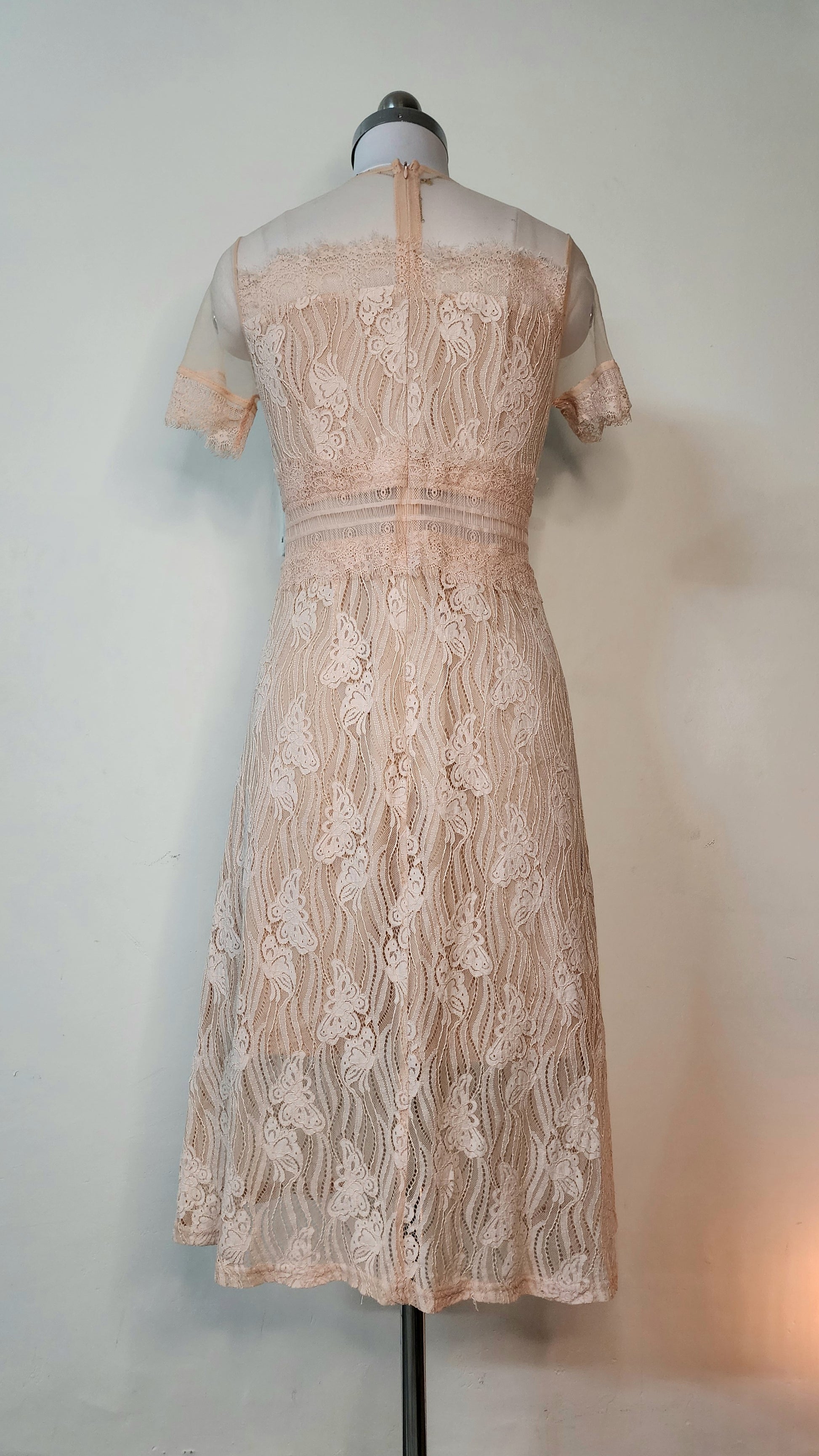 Elegant Peach Lace Midi Dress - Sheer Neck Short Sleeve Special Occasion Dress